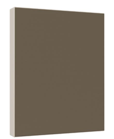 9055 finish sample